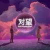 对望
