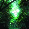 The call of the jungle