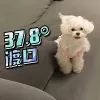 银夜