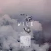 Wild  (狂野)
