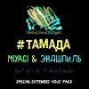 #тамада (Сингл) （宴会主持人）