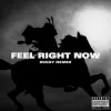 Feel Right Now （感受现在)