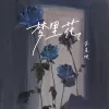 梦里花 (纯白的茉莉花)