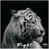 Fight  （战斗）
