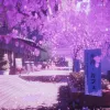 バラのように咲く （像玫瑰一样盛开）