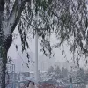 有 空 一 起 去 看 雪
