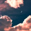 泪 光 ✧