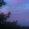 清 風