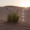 我的歌声里 （爱奇艺自制剧《在线爱》主题曲）