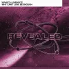 Why Can't Love Be Enough (Extended Mix)