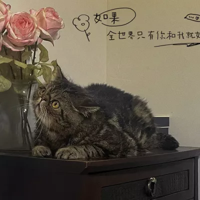 如果全世界只有你和我就好了