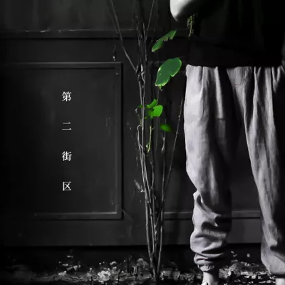 风吹丹顶鹤