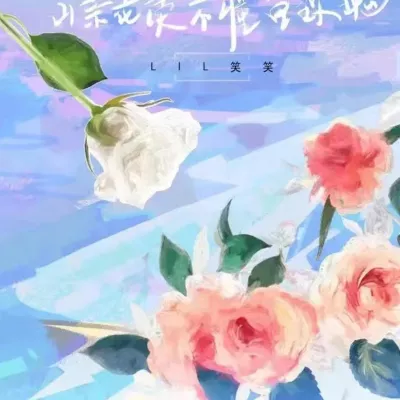 山茶花读不懂白玫瑰