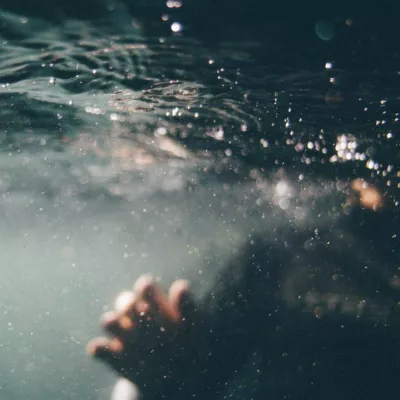 Sunlight on the seafloor