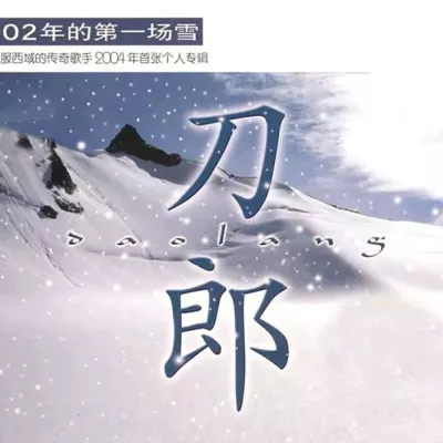 2002年的第一场雪