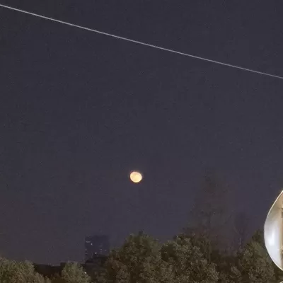 太聪明