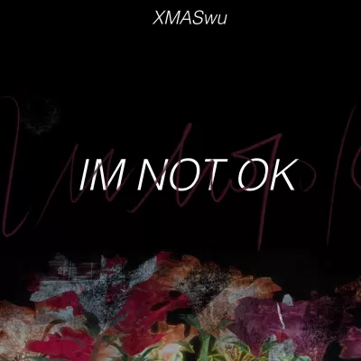 IM NOT OK