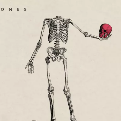 Bones