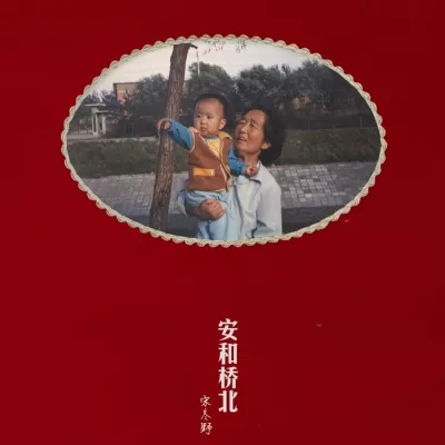 鸽子