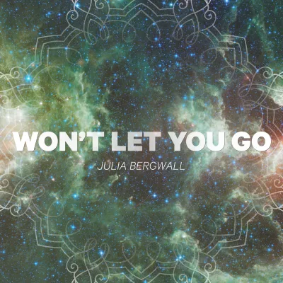 Won't Let You Go