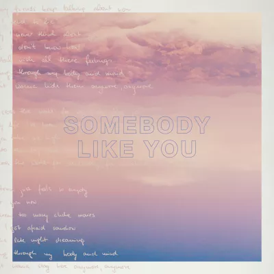 Somebody Like You