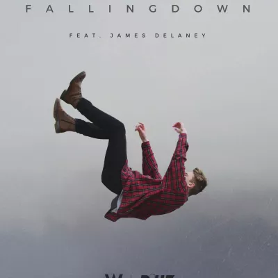 Falling Down (坠落)