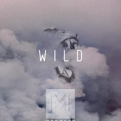 Wild  (狂野)