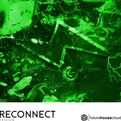 Reconnect （重连）