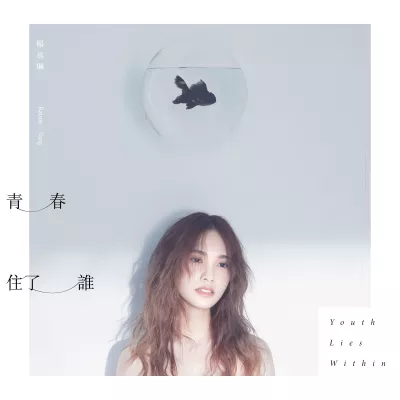 青春住了谁