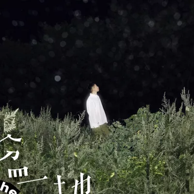 候鸟的短歌