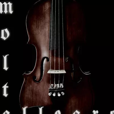Molto Allegro