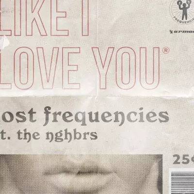 Like I Love You
