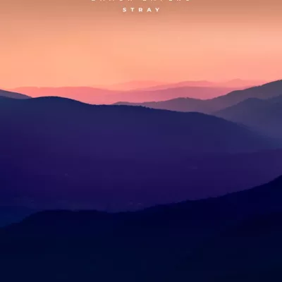Stray