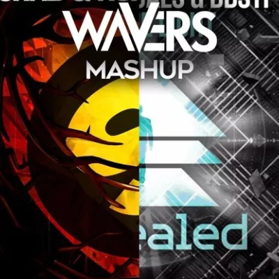 Into The Strong Light (Wavers Mashup)