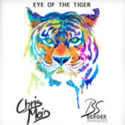 Eye Of The Tiger