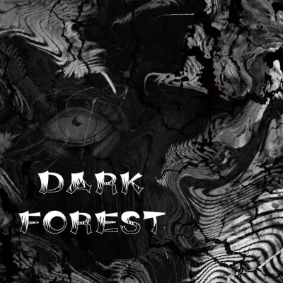 Dark Forest(黑暗森林)