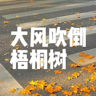大风吹倒梧桐树