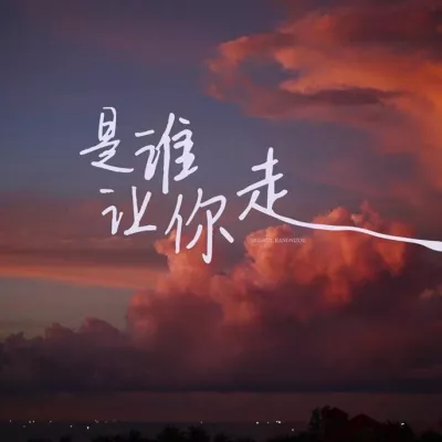 是谁让你走