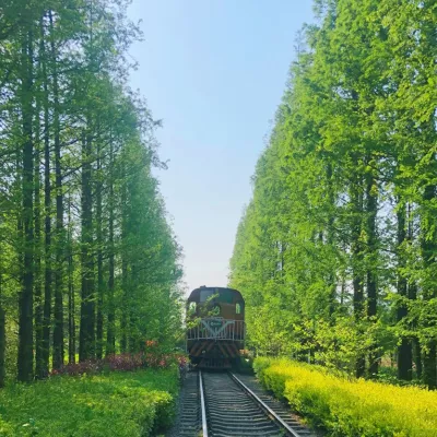 风的小径