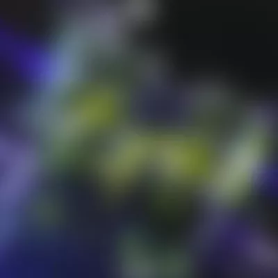 Now