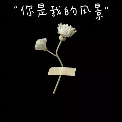 你是我的风景