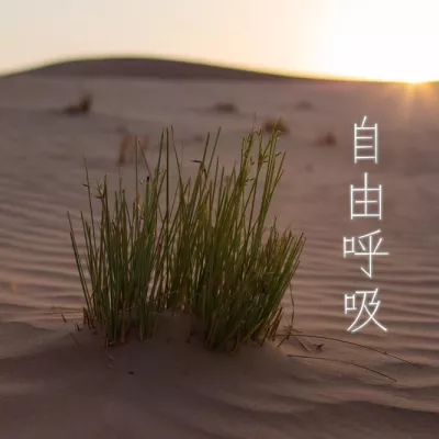 我的歌声里 （爱奇艺自制剧《在线爱》主题曲）