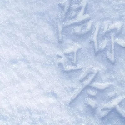 陪你过冬天