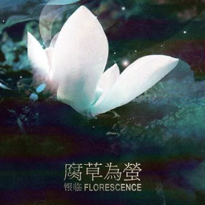 瀘沽寻梦